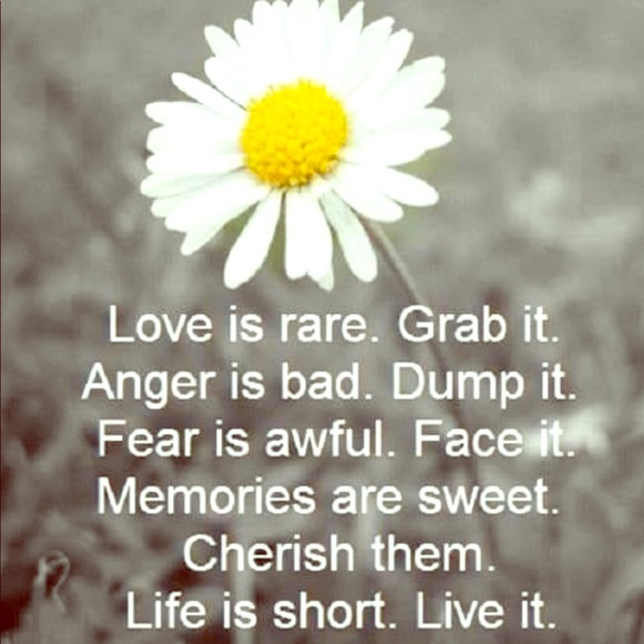 - Check out lots of new listings 🌻~~ - Picture 1 of 1